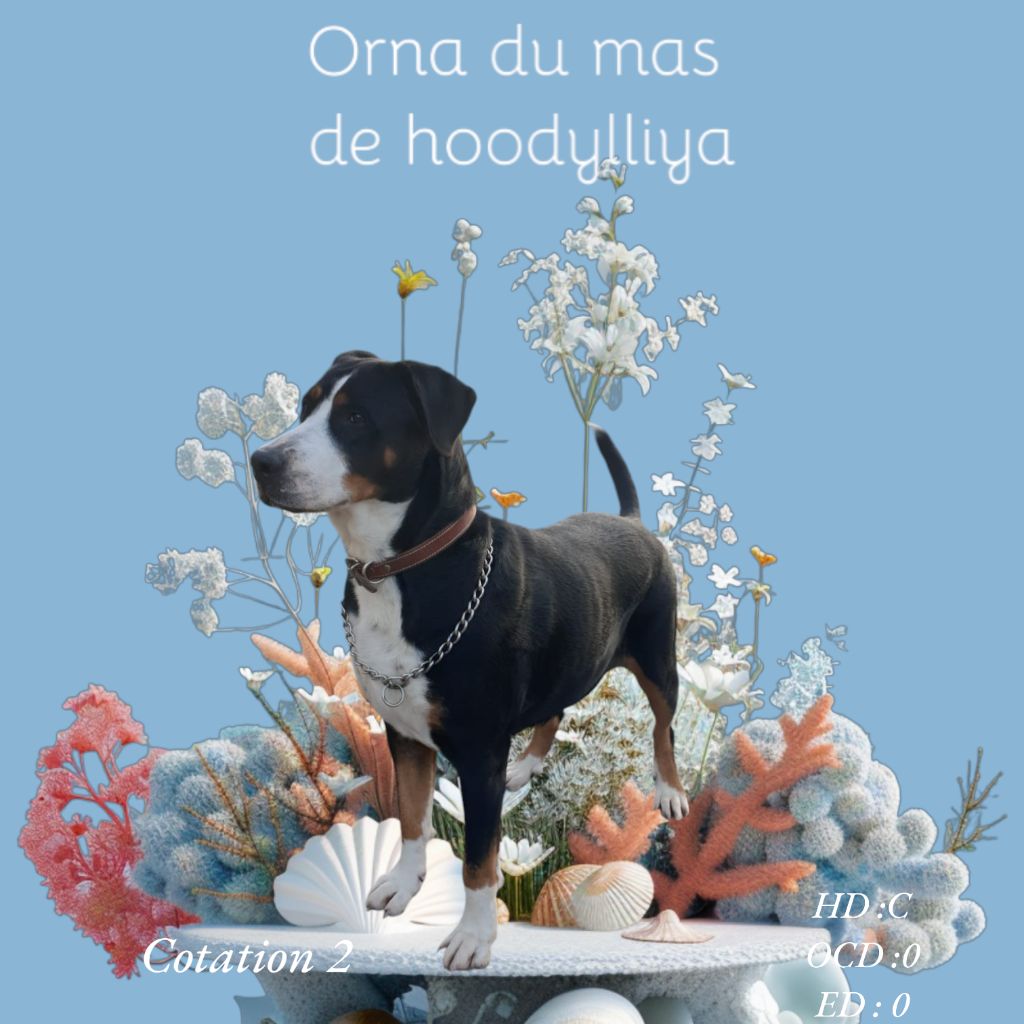 Orna Du Mas De Hoodyliya