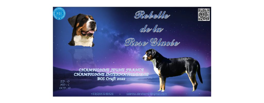 CH. Rebelle de la rose glacée