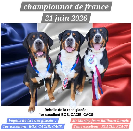 championnat de france 2026
